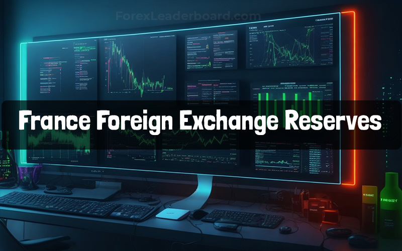 foreign exchange reserves france